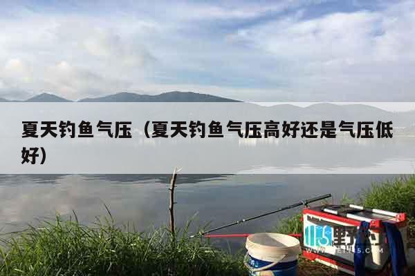 夏天钓鱼气压（夏天钓鱼气压高好还是气压低好）