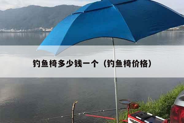 钓鱼椅多少钱一个（钓鱼椅价格）