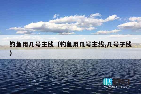 钓鱼用几号主线（钓鱼用几号主线,几号子线）