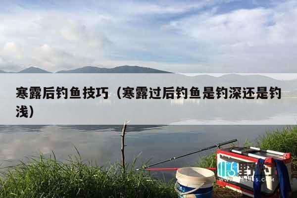 寒露后钓鱼技巧（寒露过后钓鱼是钓深还是钓浅）