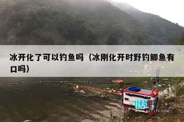 冰开化了可以钓鱼吗（冰刚化开时野钓鲫鱼有口吗）
