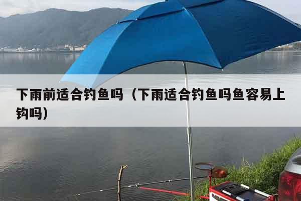 下雨前适合钓鱼吗（下雨适合钓鱼吗鱼容易上钩吗）