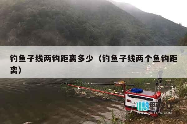 钓鱼子线两钩距离多少（钓鱼子线两个鱼钩距离）