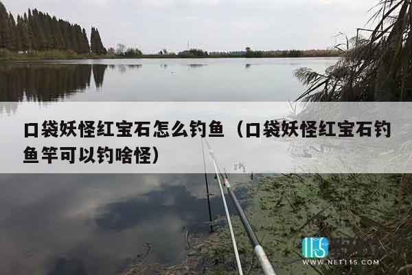 口袋妖怪红宝石怎么钓鱼（口袋妖怪红宝石钓鱼竿可以钓啥怪）