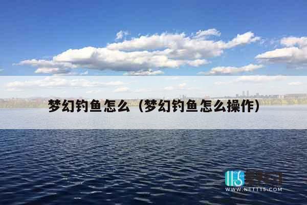 梦幻钓鱼怎么（梦幻钓鱼怎么操作）