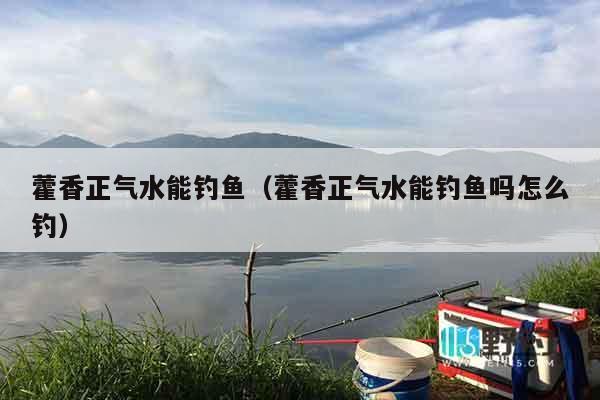 藿香正气水能钓鱼（藿香正气水能钓鱼吗怎么钓）