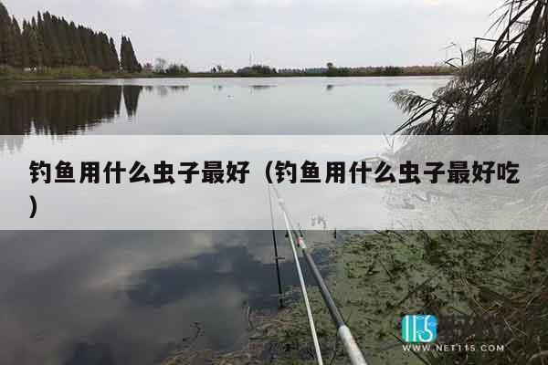 钓鱼用什么虫子最好（钓鱼用什么虫子最好吃）