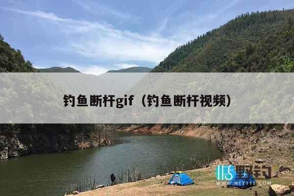 钓鱼断杆gif（钓鱼断杆视频）