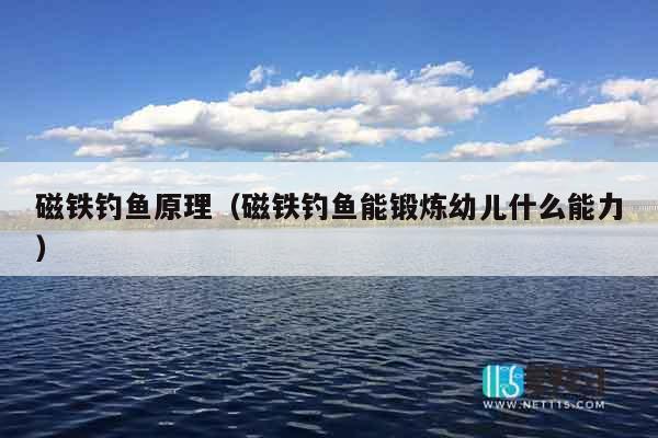磁铁钓鱼原理（磁铁钓鱼能锻炼幼儿什么能力）