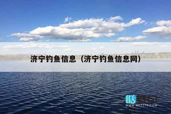 济宁钓鱼信息（济宁钓鱼信息网）