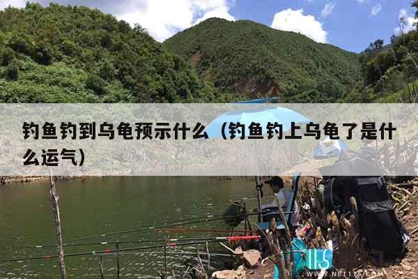 钓鱼钓到乌龟预示什么（钓鱼钓上乌龟了是什么运气）