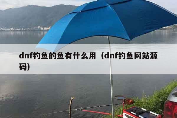 dnf钓鱼的鱼有什么用（dnf钓鱼网站源码）