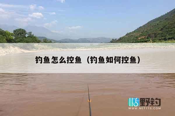 钓鱼怎么控鱼（钓鱼如何控鱼）