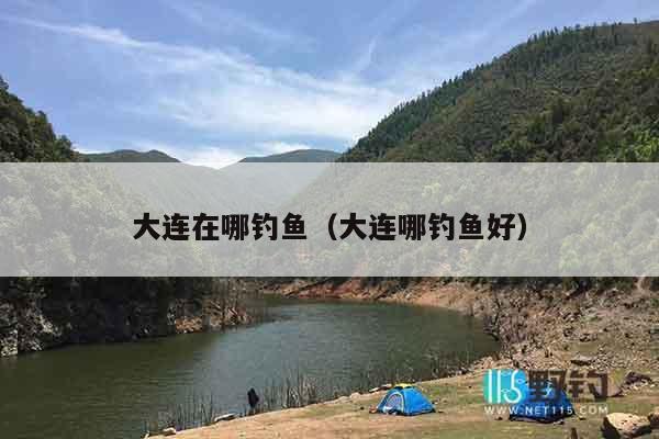 大连在哪钓鱼（大连哪钓鱼好）