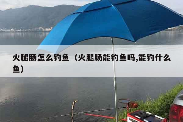 火腿肠怎么钓鱼（火腿肠能钓鱼吗,能钓什么鱼）