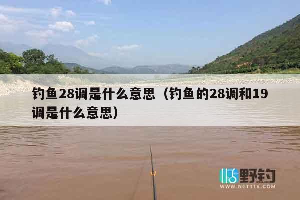 钓鱼28调是什么意思（钓鱼的28调和19调是什么意思）