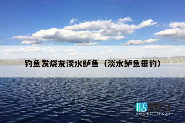 钓鱼发烧友淡水鲈鱼（淡水鲈鱼垂钓）