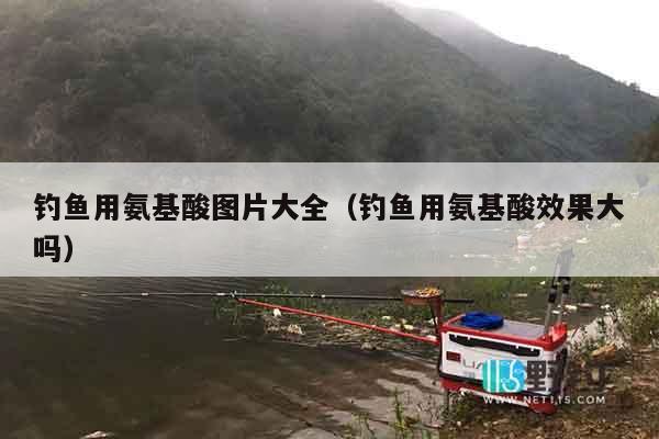 钓鱼用氨基酸图片大全（钓鱼用氨基酸效果大吗）