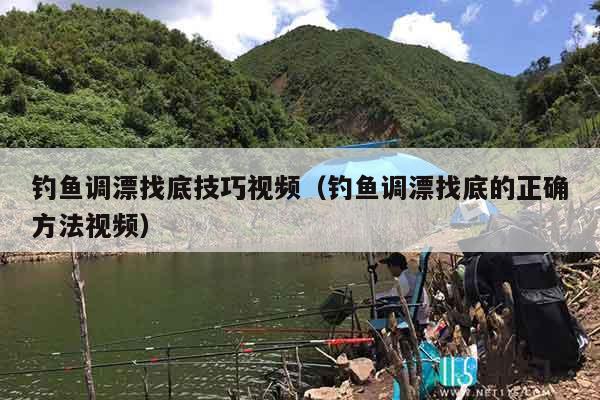 钓鱼调漂找底技巧视频（钓鱼调漂找底的正确方法视频）