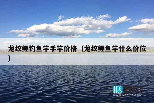 龙纹鲤钓鱼竿手竿价格（龙纹鲤鱼竿什么价位）