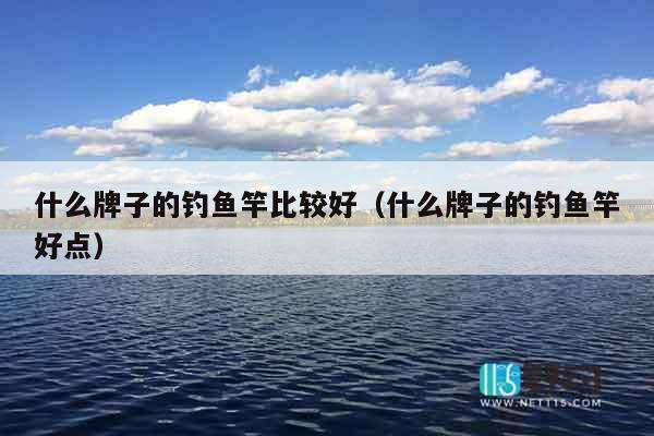 什么牌子的钓鱼竿比较好（什么牌子的钓鱼竿好点）