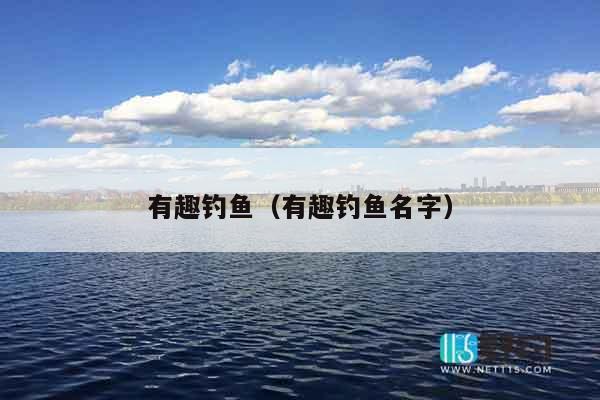 有趣钓鱼（有趣钓鱼名字）