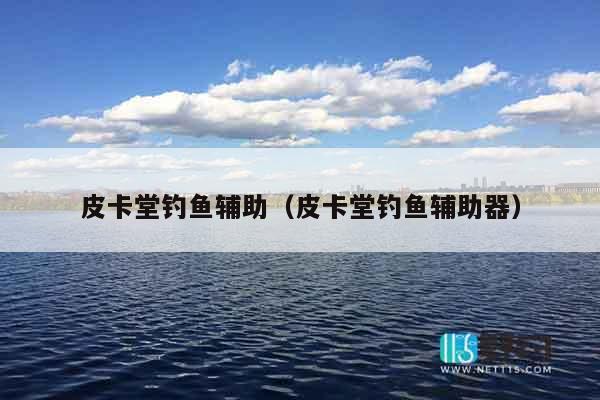 皮卡堂钓鱼辅助（皮卡堂钓鱼辅助器）