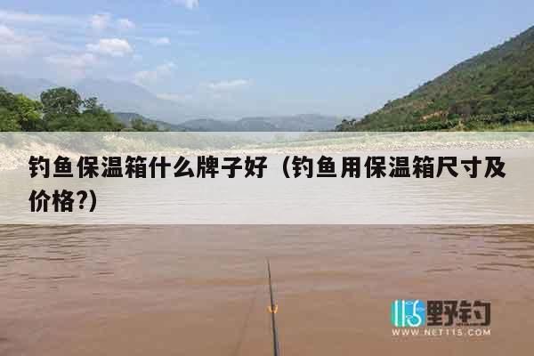 钓鱼保温箱什么牌子好（钓鱼用保温箱尺寸及价格?）