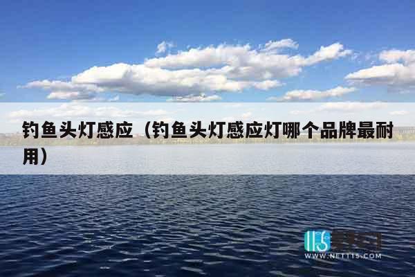 钓鱼头灯感应（钓鱼头灯感应灯哪个品牌最耐用）