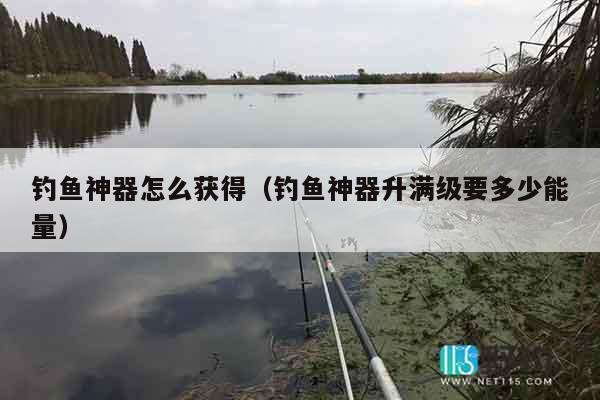 钓鱼神器怎么获得（钓鱼神器升满级要多少能量）