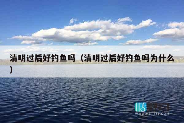 清明过后好钓鱼吗（清明过后好钓鱼吗为什么）