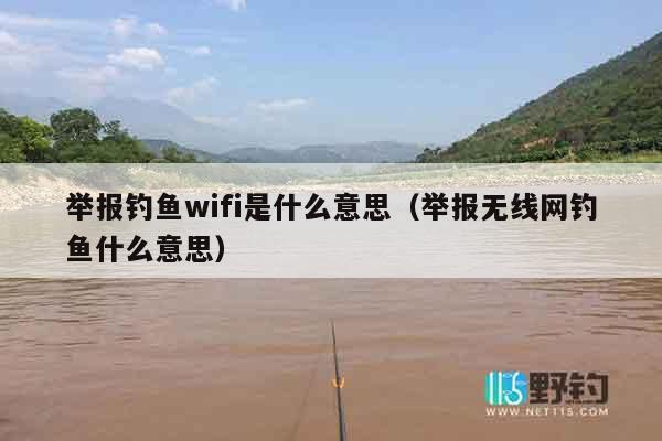 举报钓鱼wifi是什么意思（举报无线网钓鱼什么意思）
