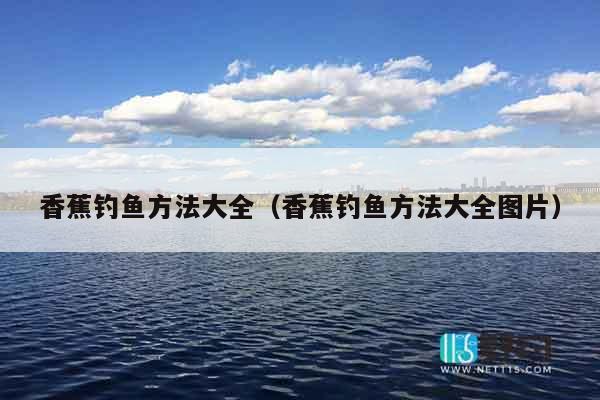 香蕉钓鱼方法大全（香蕉钓鱼方法大全图片）