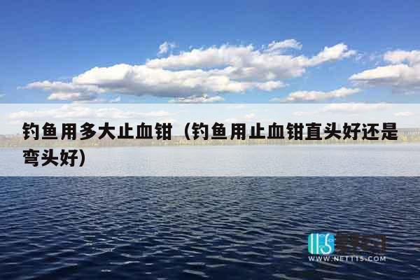 钓鱼用多大止血钳（钓鱼用止血钳直头好还是弯头好）