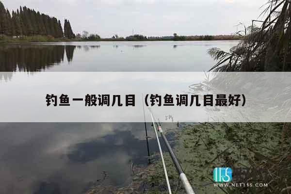 钓鱼一般调几目（钓鱼调几目最好）