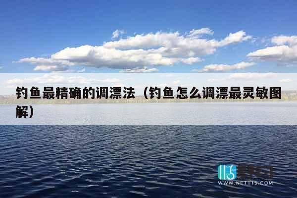 钓鱼最精确的调漂法（钓鱼怎么调漂最灵敏图解）