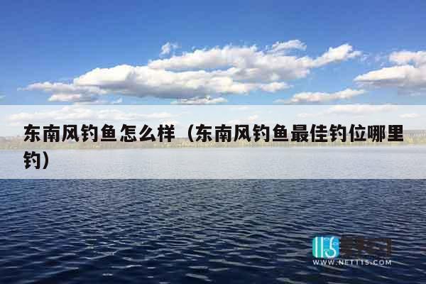 东南风钓鱼怎么样（东南风钓鱼最佳钓位哪里钓）