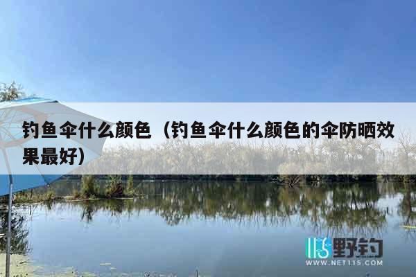 钓鱼伞什么颜色（钓鱼伞什么颜色的伞防晒效果最好）