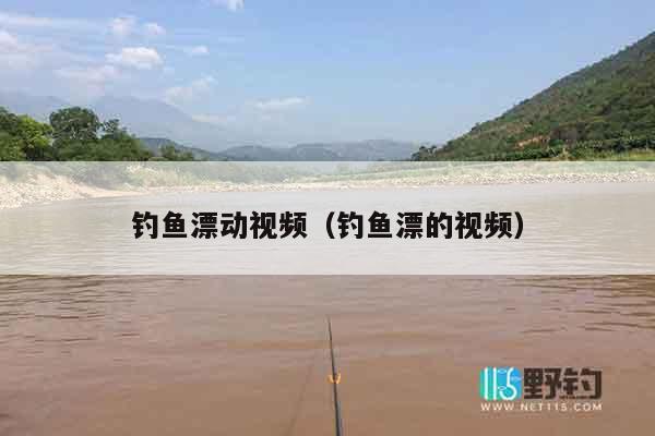 钓鱼漂动视频（钓鱼漂的视频）