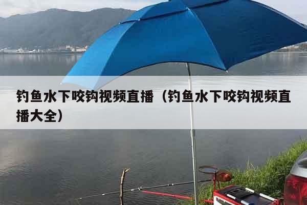 钓鱼水下咬钩视频直播（钓鱼水下咬钩视频直播大全）