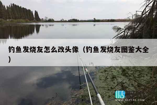 钓鱼发烧友怎么改头像（钓鱼发烧友图鉴大全）