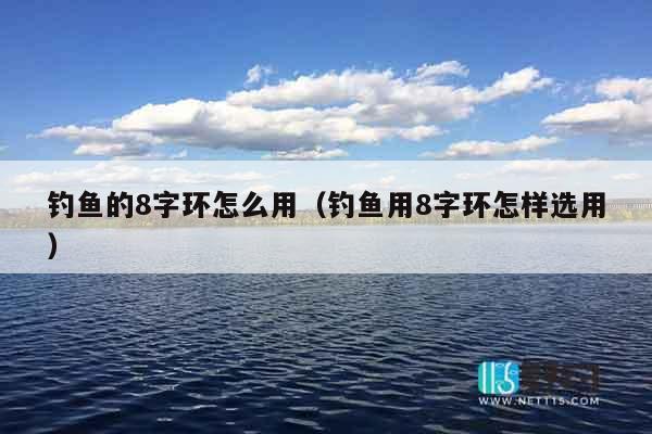 钓鱼的8字环怎么用（钓鱼用8字环怎样选用）