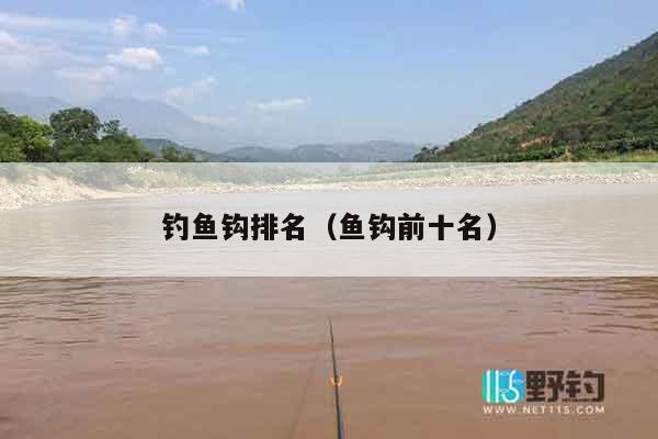 钓鱼钩排名（鱼钩前十名）