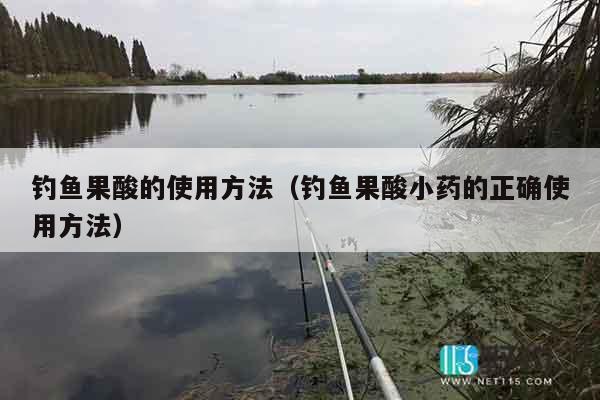 钓鱼果酸的使用方法（钓鱼果酸小药的正确使用方法）