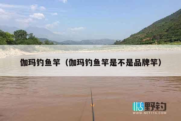 伽玛钓鱼竿（伽玛钓鱼竿是不是品牌竿）