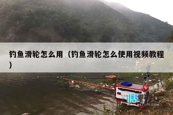 钓鱼滑轮怎么用（钓鱼滑轮怎么使用视频教程）