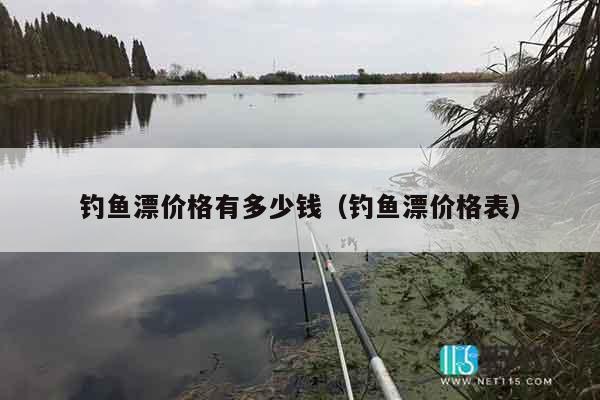 钓鱼漂价格有多少钱（钓鱼漂价格表）