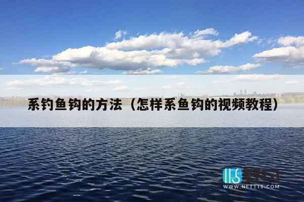 系钓鱼钩的方法（怎样系鱼钩的视频教程）