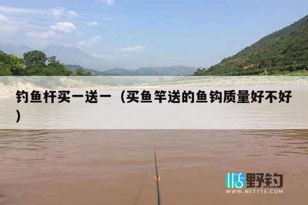 钓鱼杆买一送一（买鱼竿送的鱼钩质量好不好）