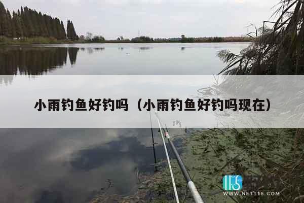 小雨钓鱼好钓吗（小雨钓鱼好钓吗现在）